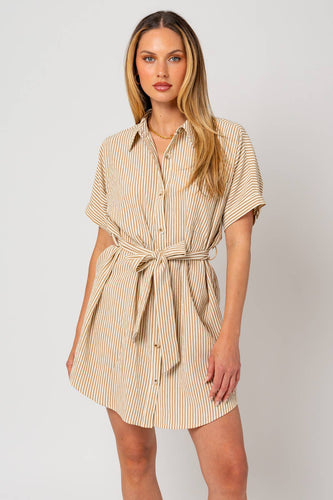 Striped Button Down Shirt Dress